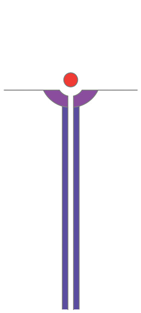 DV010
